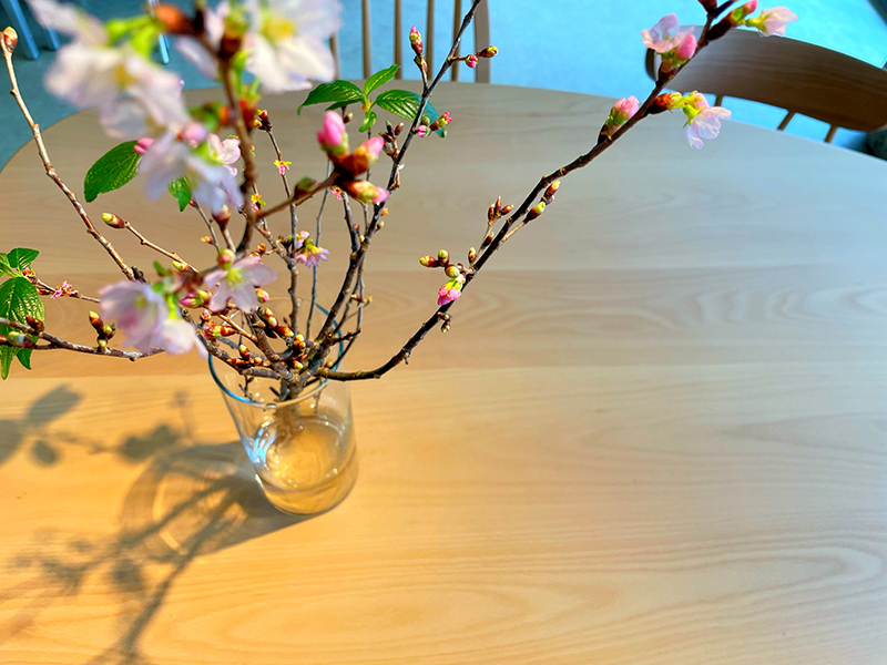 店内ギャラリー